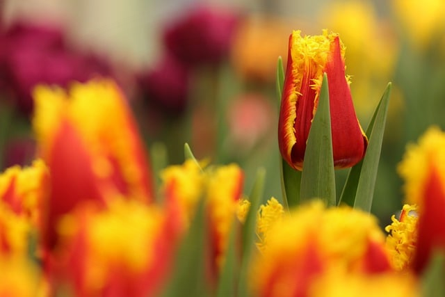 tcl洗衣机全自动洗衣机怎样操作看完这篇就不再手忙脚乱