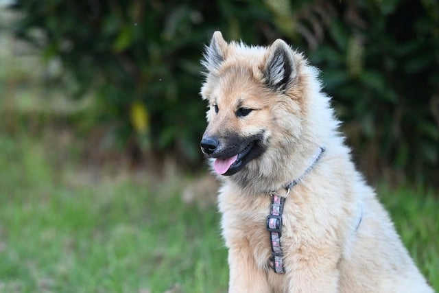 买洗衣机怎么选择家电顾问沈见川把最容易踩坑的真相说透了