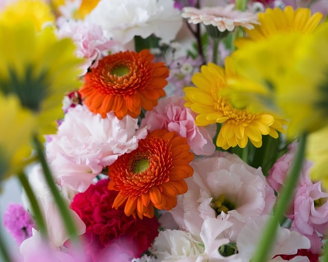 波轮洗衣机与滚筒洗衣机哪个好选错真的会让人后悔，这篇讲透了