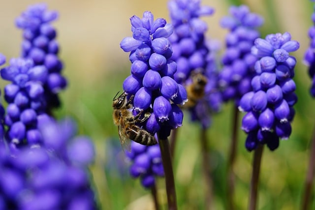 洗衣机推荐别再盲买了：一篇讲透容量、噪音和清洁力的实用清单