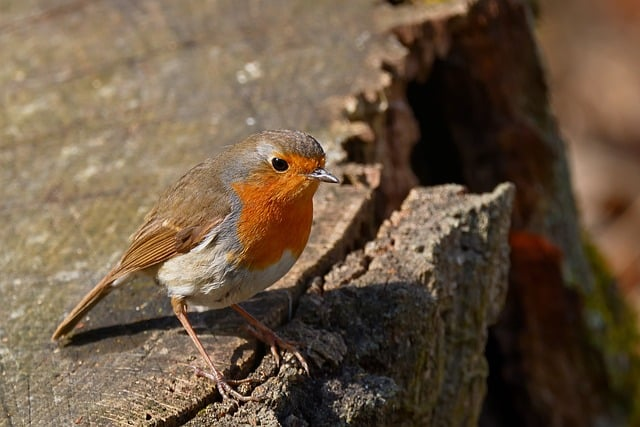 滚筒洗衣机声音大什么原因别急着报修，很多人都忽略了这几个关键点