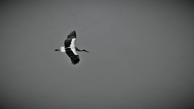 终于说清了，直驱变频洗衣机是什么意思看完再买不踩坑