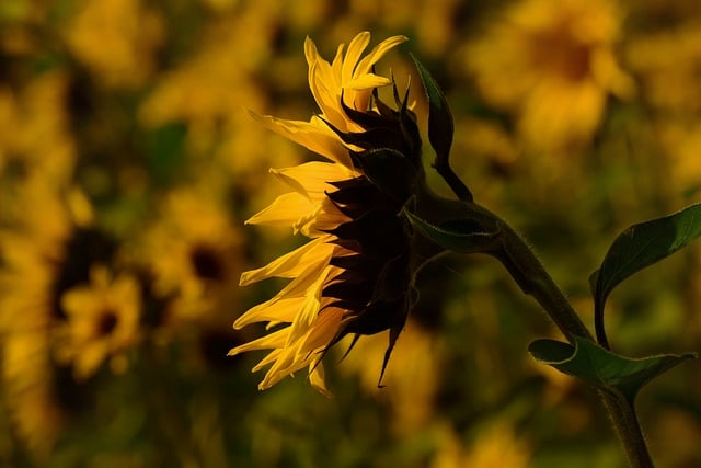 终于有人讲透了，洗衣机直驱变频是什么意思买前看懂少花冤枉钱